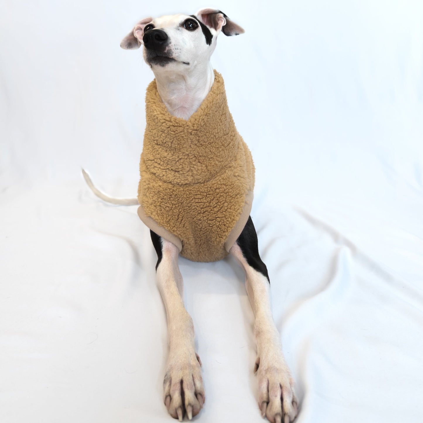 Italian Greyhound | Sherpa Vest - Khaki Brown