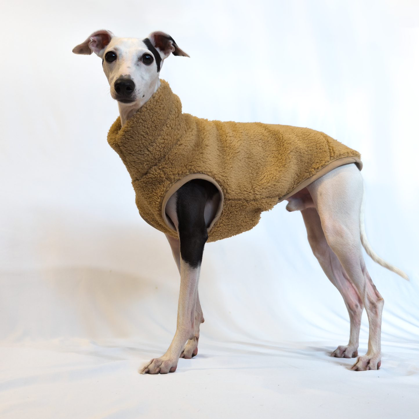 Italian Greyhound | Sherpa Vest - Khaki Brown