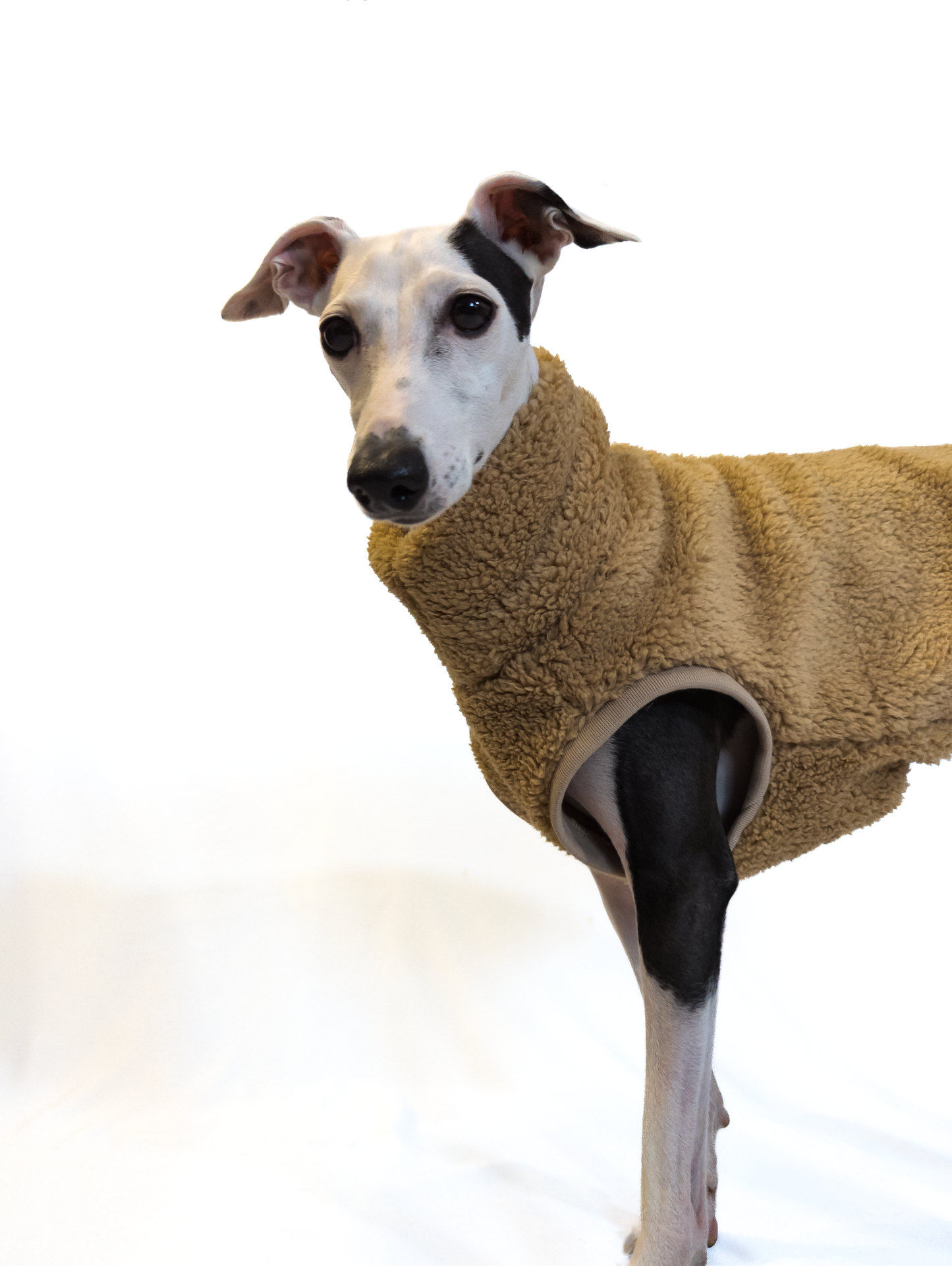 Italian Greyhound | Sherpa Vest - Khaki Brown