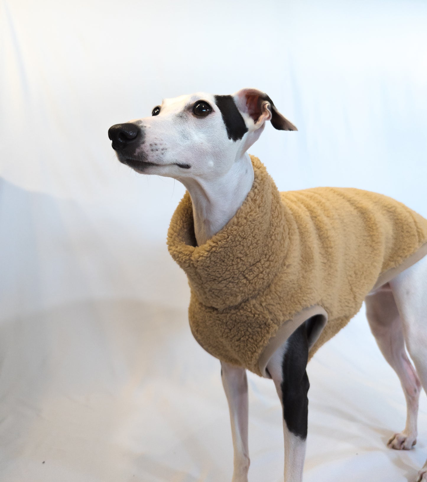 Italian Greyhound | Sherpa Vest - Khaki Brown