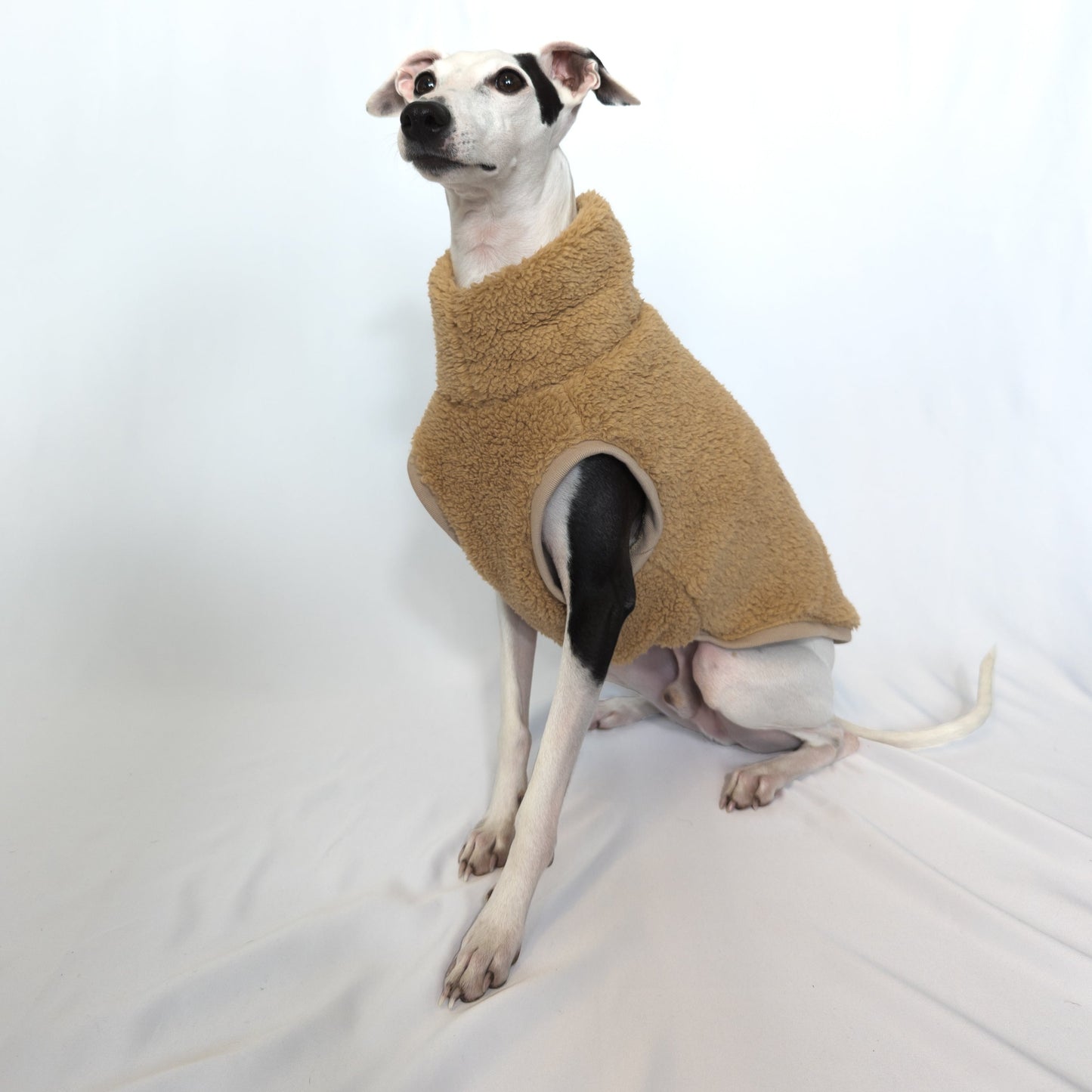 Italian Greyhound | Sherpa Vest - Khaki Brown