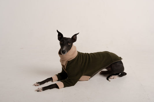 Sweater green khaki italian greyhound whippet (10)