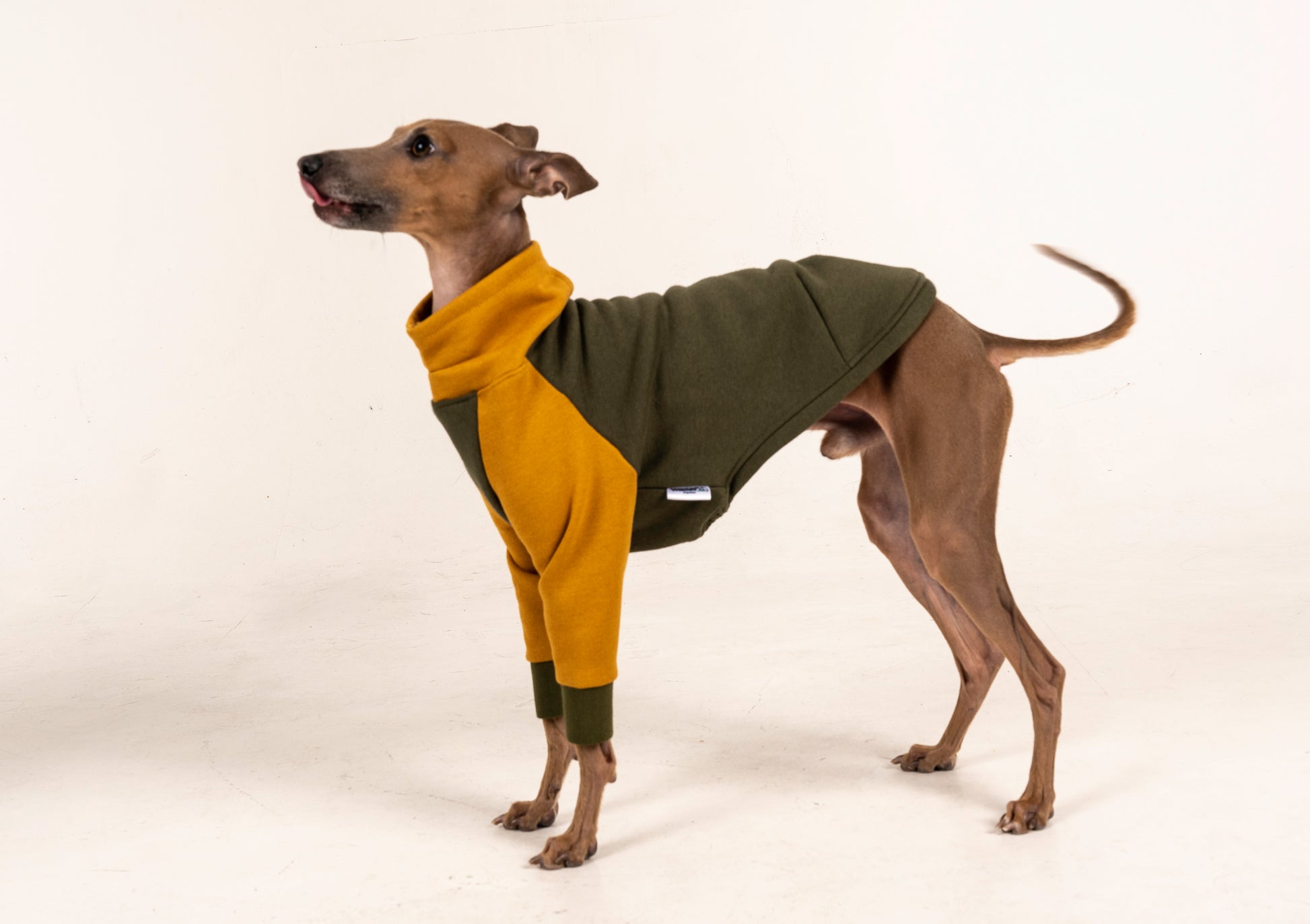 Sweater red italian greyhound whippet