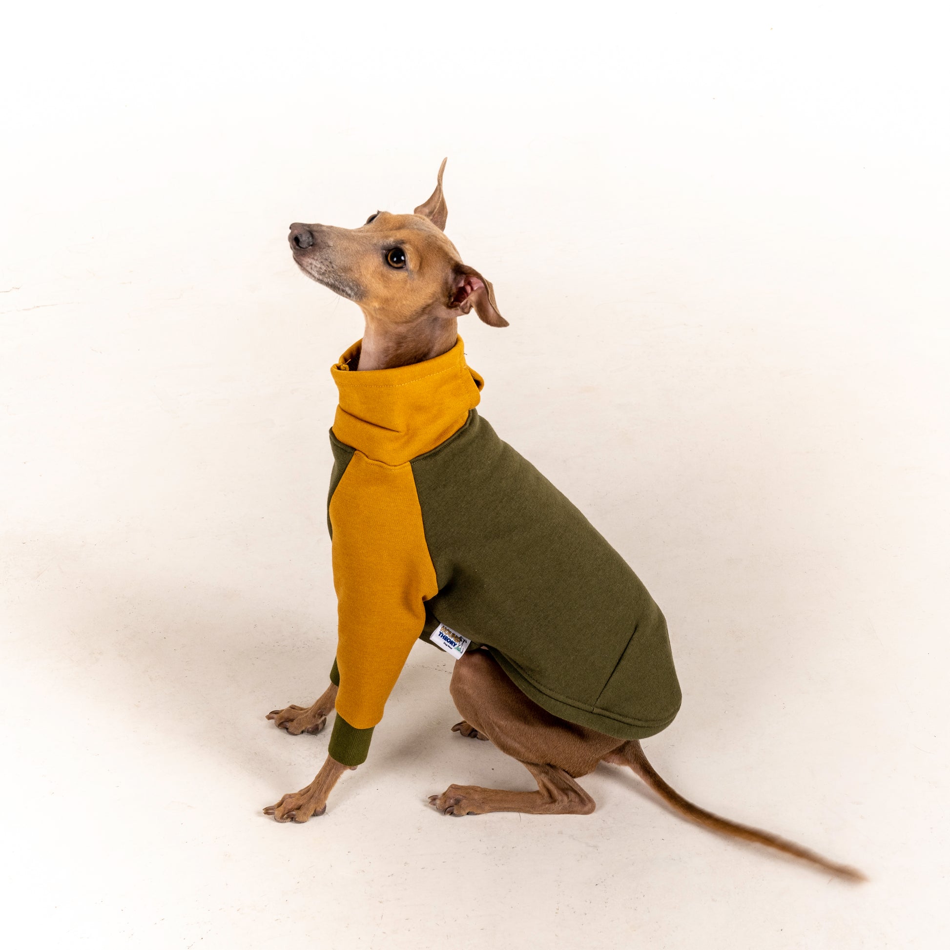 Sweater red italian greyhound whippet