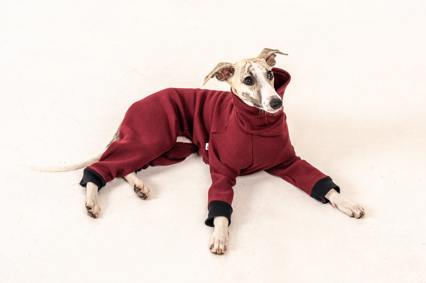 jumpsuit red wine italian greyhound whippet