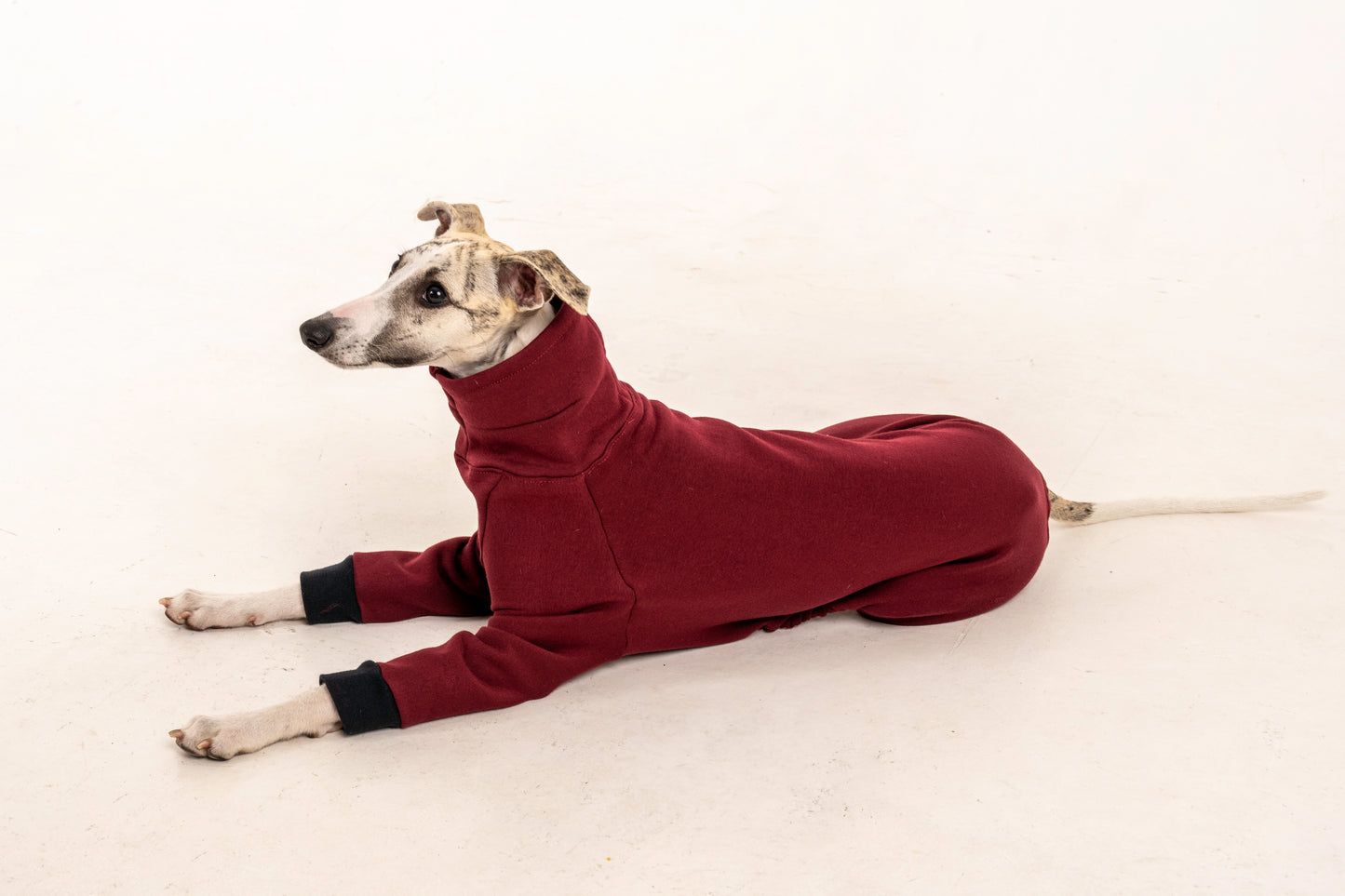 jumpsuit red wine italian greyhound whippet