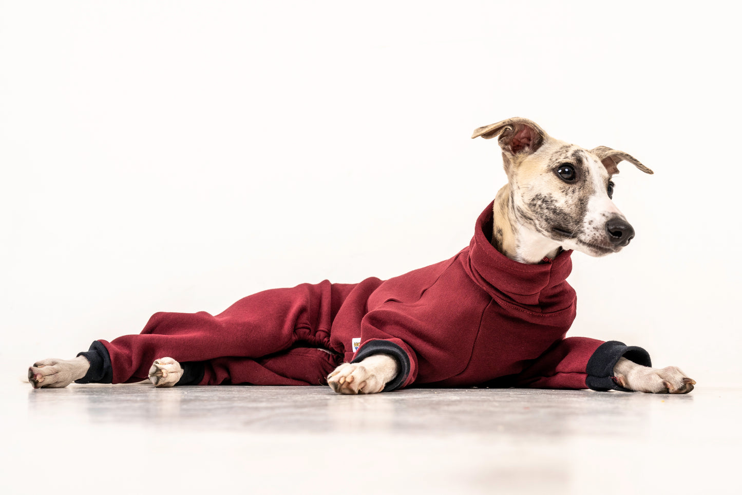 jumpsuit red wine italian greyhound whippet