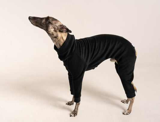 jumpsuit black italian greyhound whippet