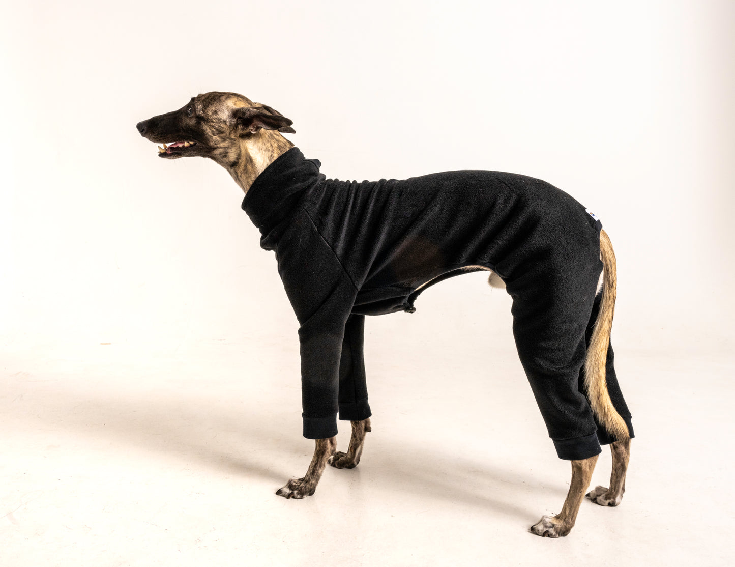 jumpsuit black italian greyhound whippet