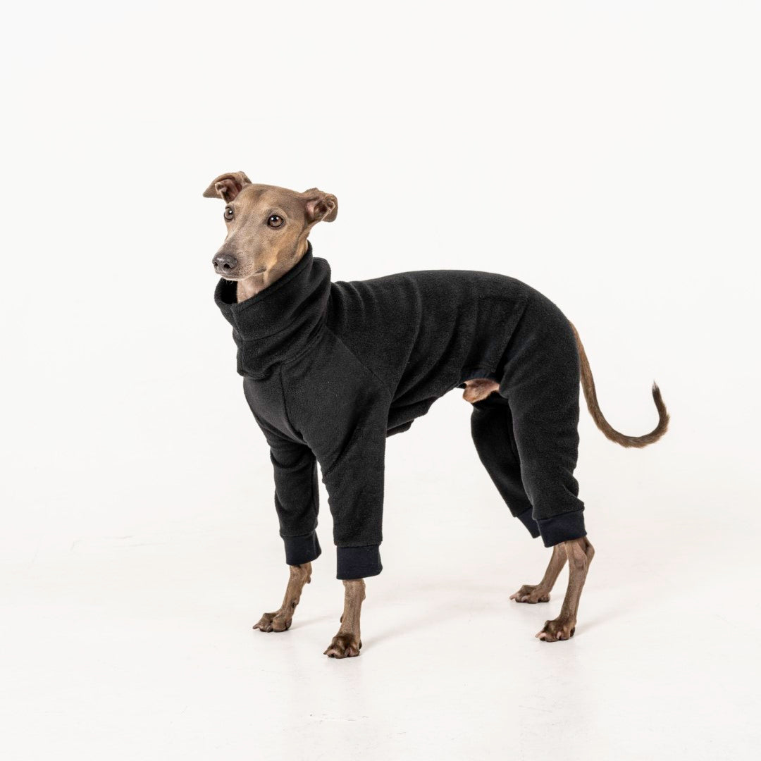 jumpsuit black italian greyhound whippet