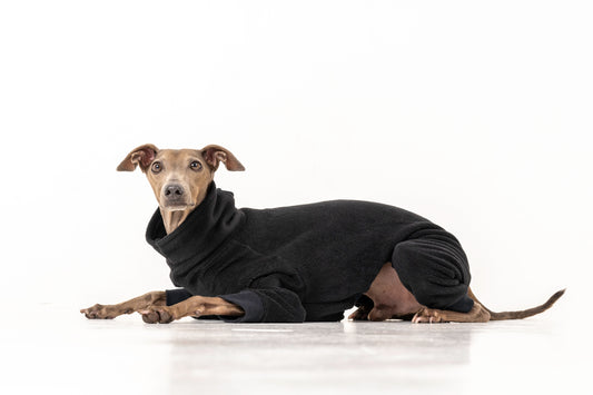 jumpsuit black italian greyhound whippet