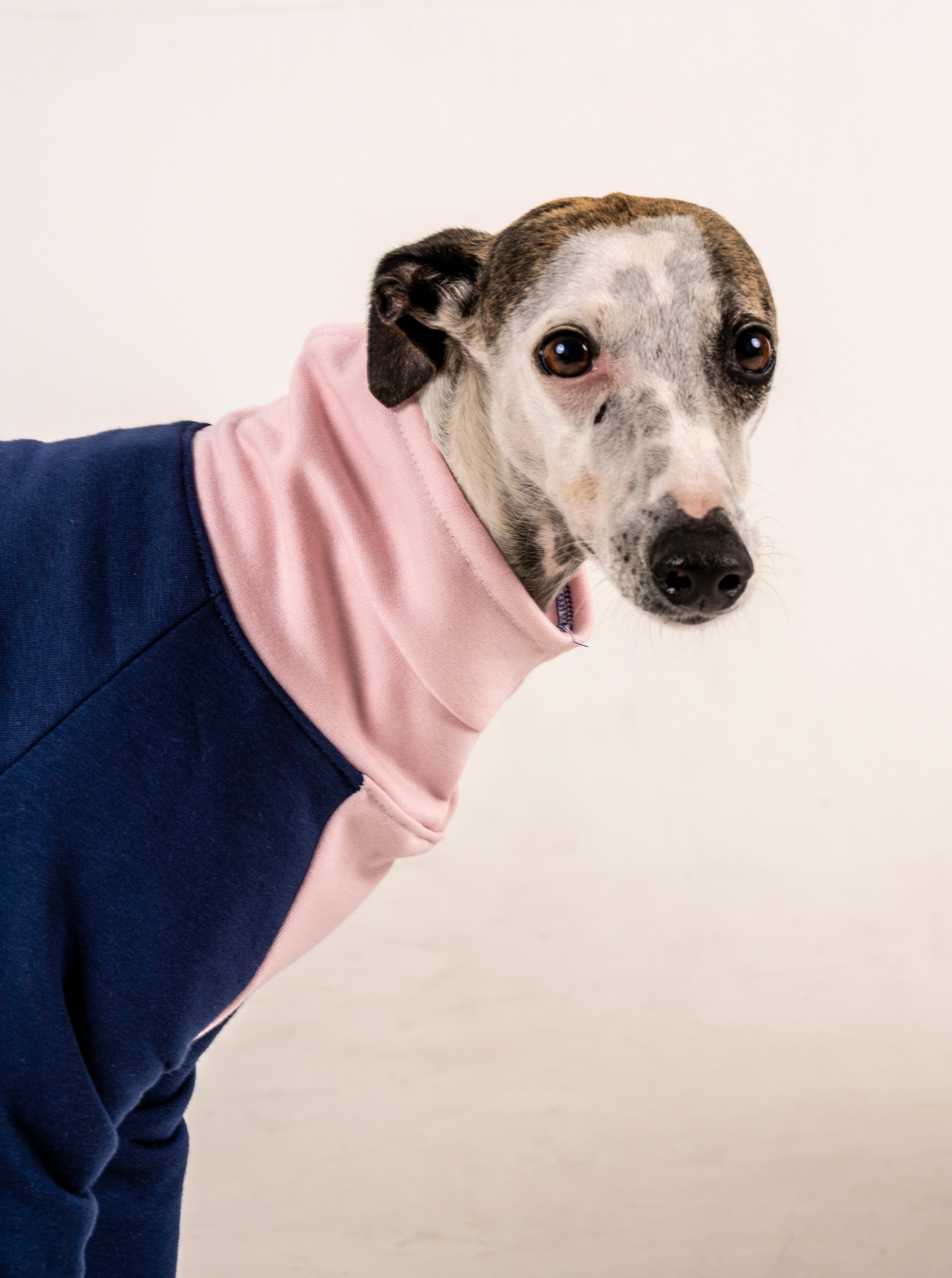 Greyhound jumpsuit clearance