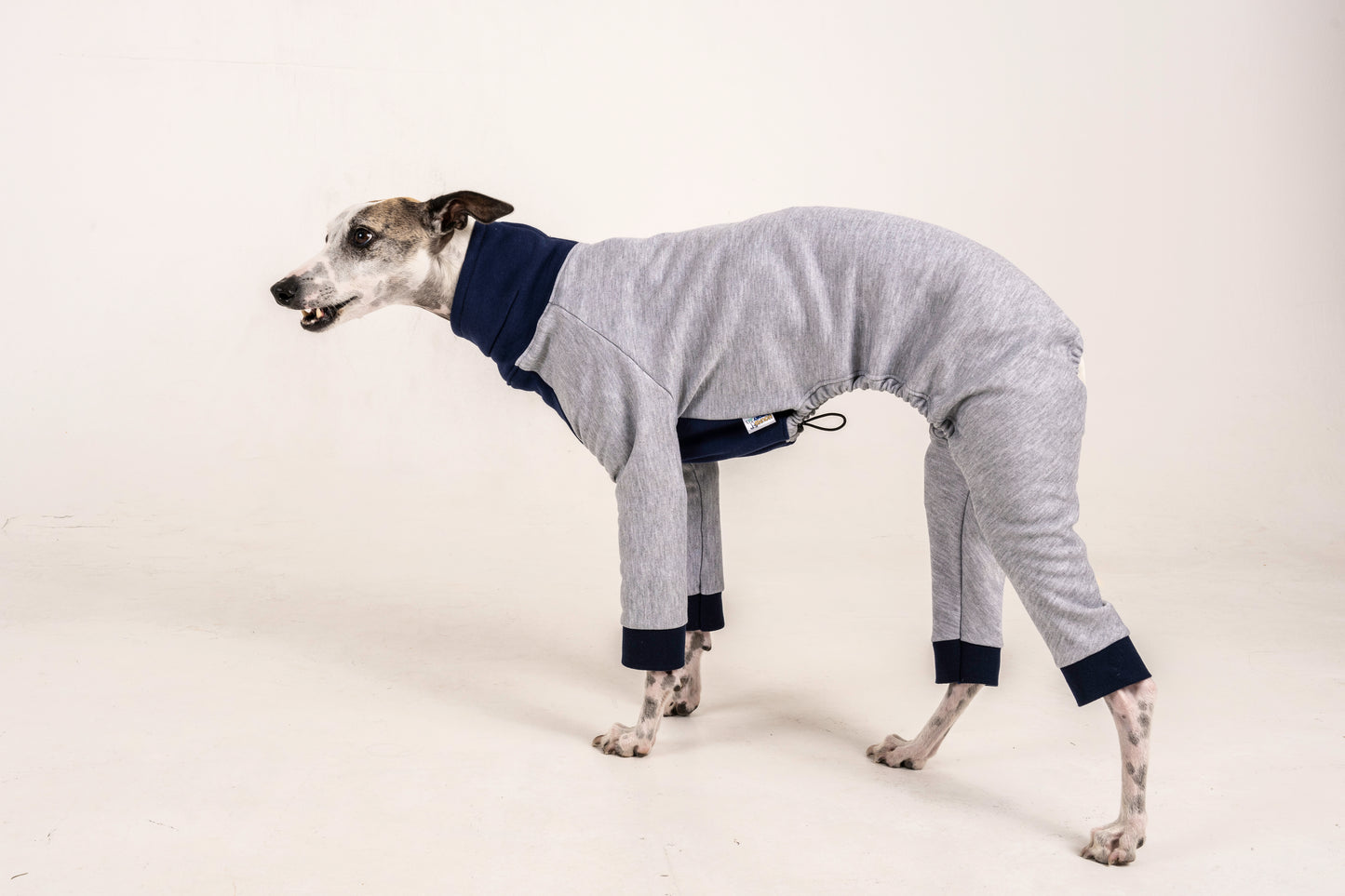 jumpsuit grey blue italian greyhound whippet