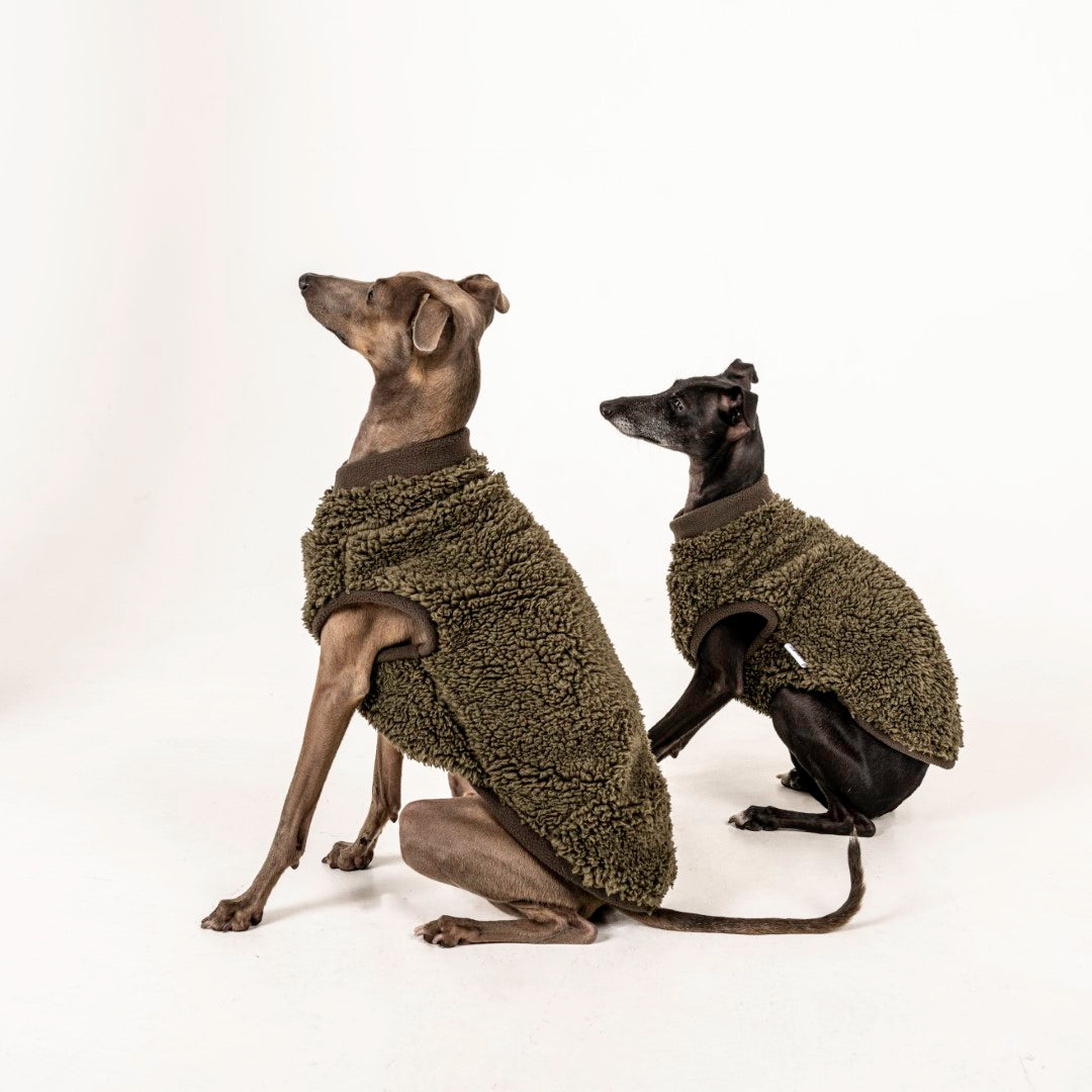 vest kutyaruha melleny italian greyhound whippet kis olasz agar