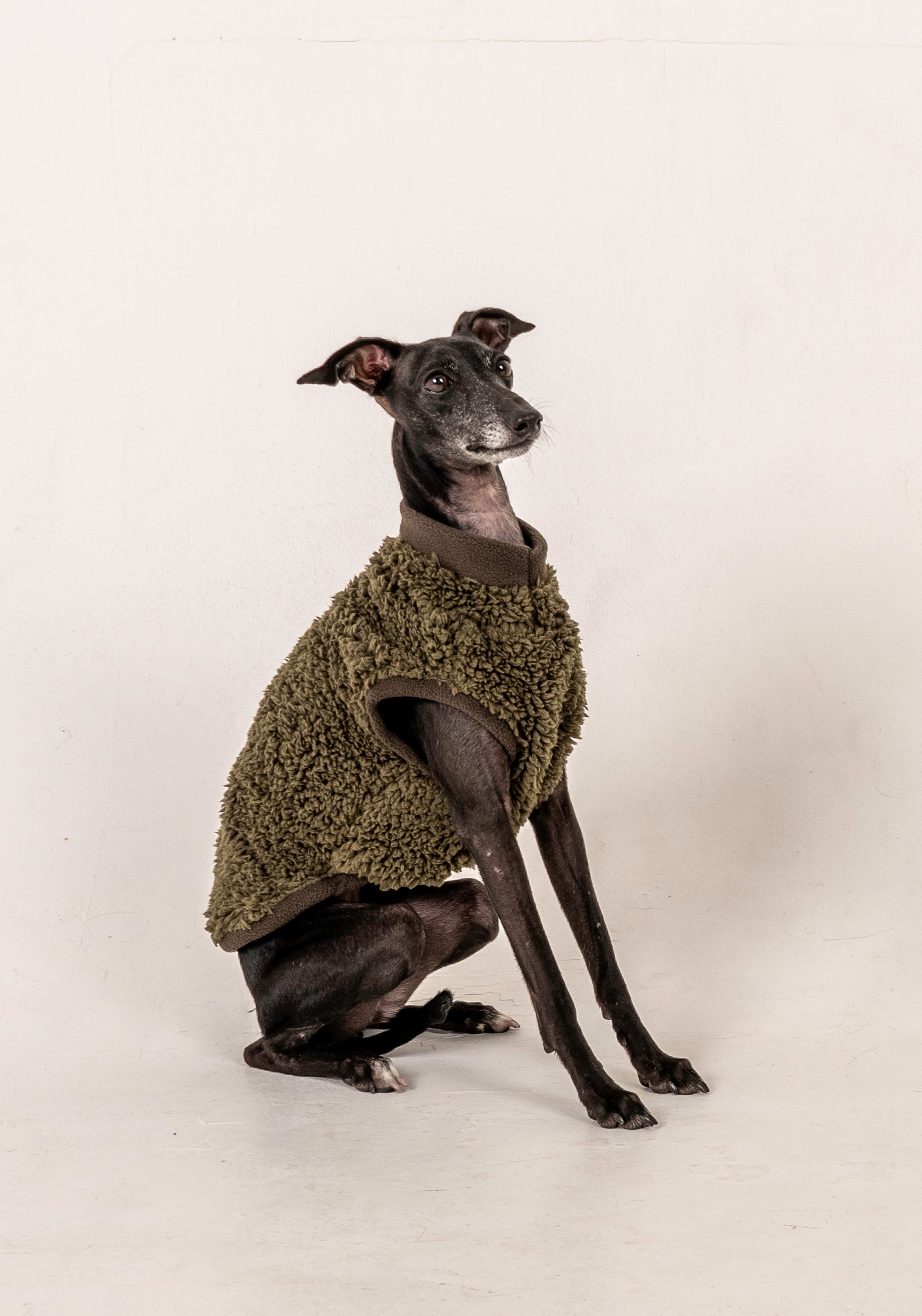 Italian Greyhound Sherpa Vest Green