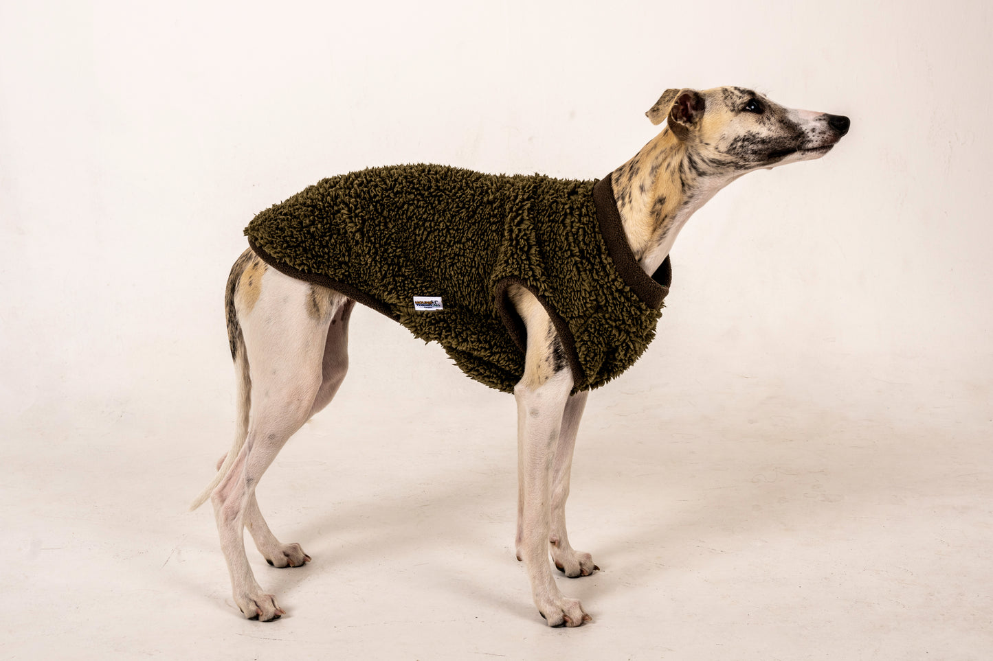 vest kutyaruha melleny italian greyhound whippet kis olasz agar